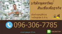 บริการเงินด่วนเพื่อธุรกิจ โทร. 096-306-7785